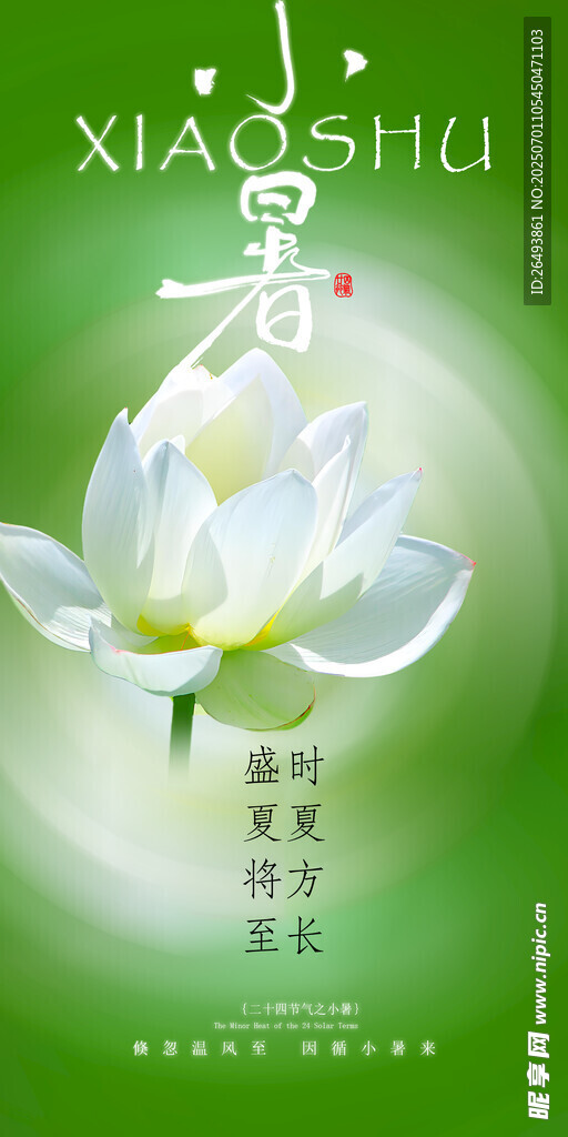 小暑海报