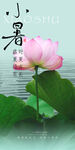 小暑海报