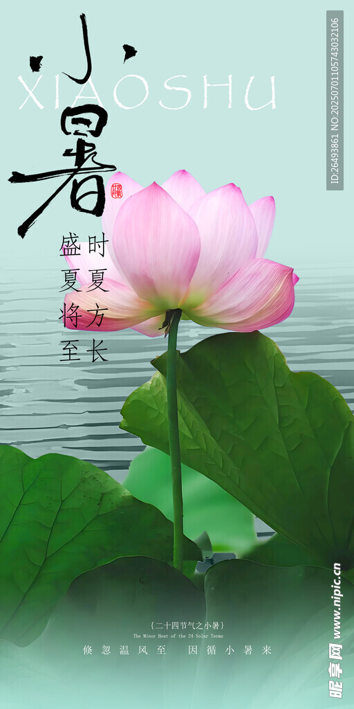 小暑海报