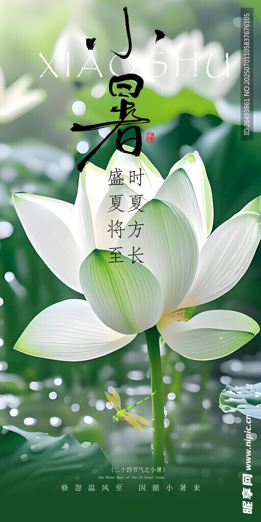小暑海报