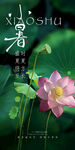 小暑海报