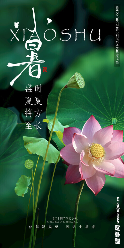 小暑海报