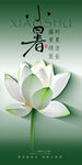小暑海报
