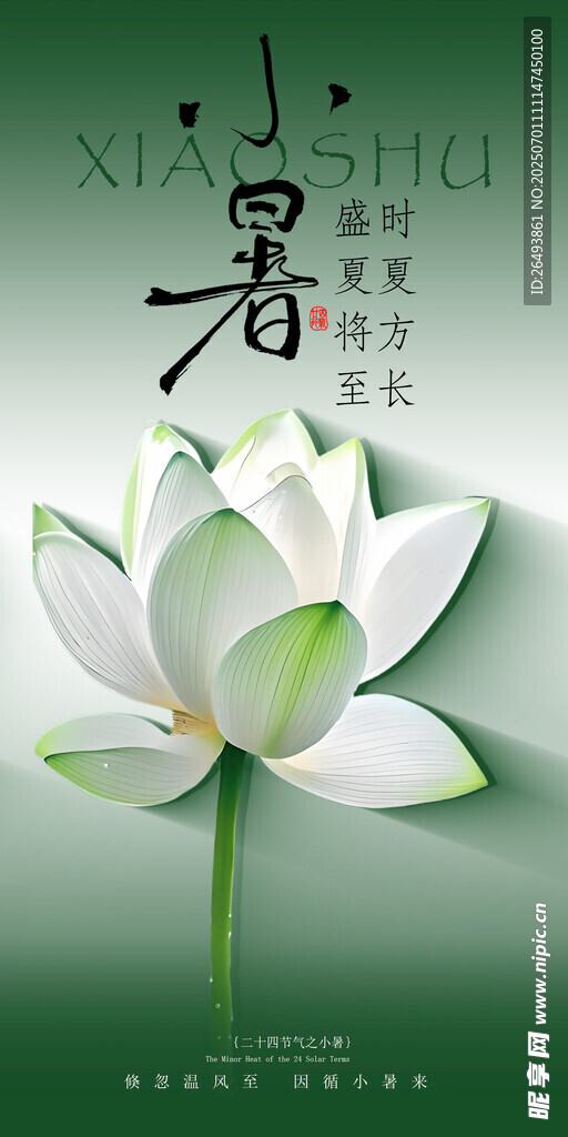 小暑海报