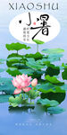 小暑海报