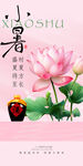 小暑海报