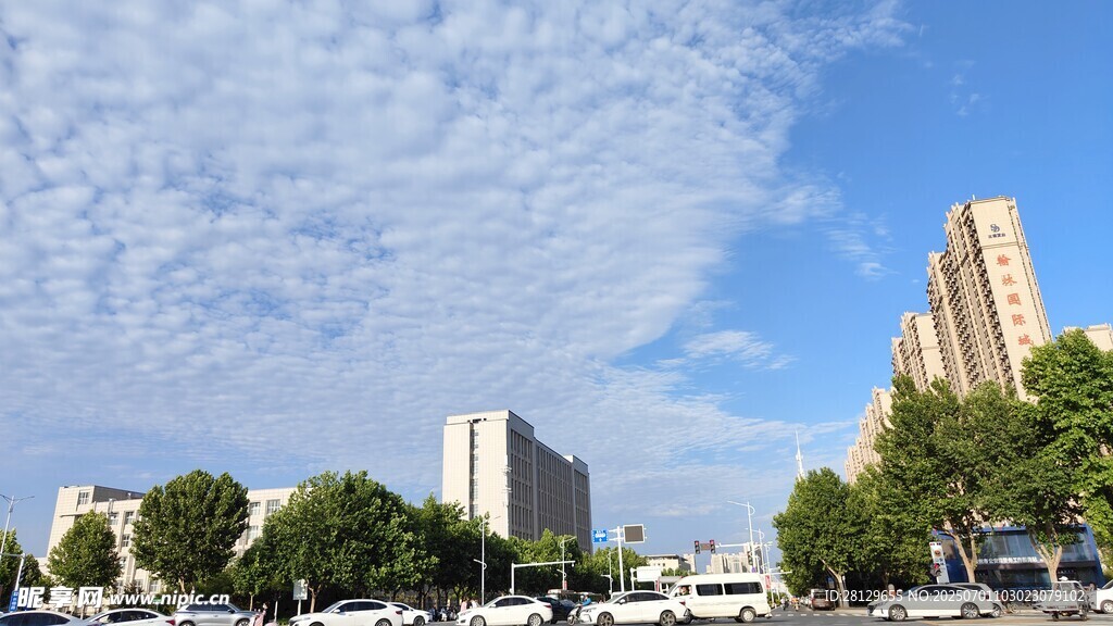 城市蓝天高楼绿树景观