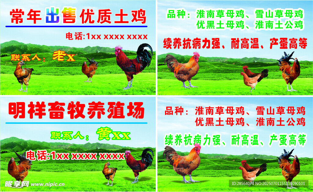 养殖场名片 优质土鸡