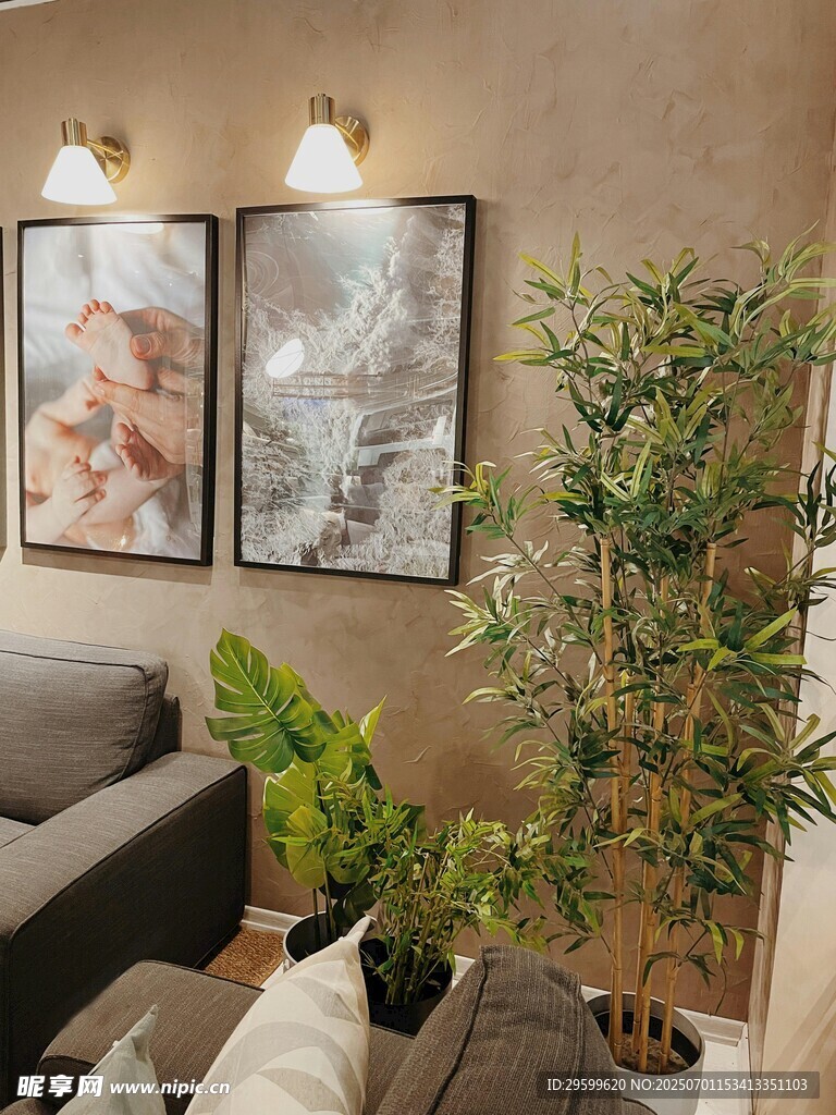温馨客厅绿植装饰一角