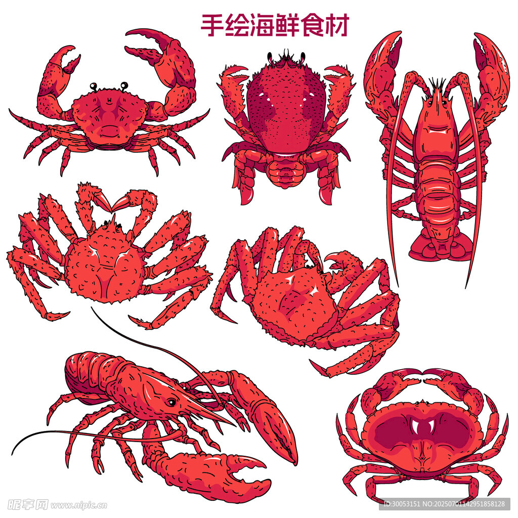 手绘鲜活海鲜食材