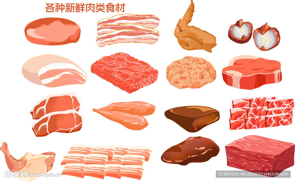 多样肉类食材展示