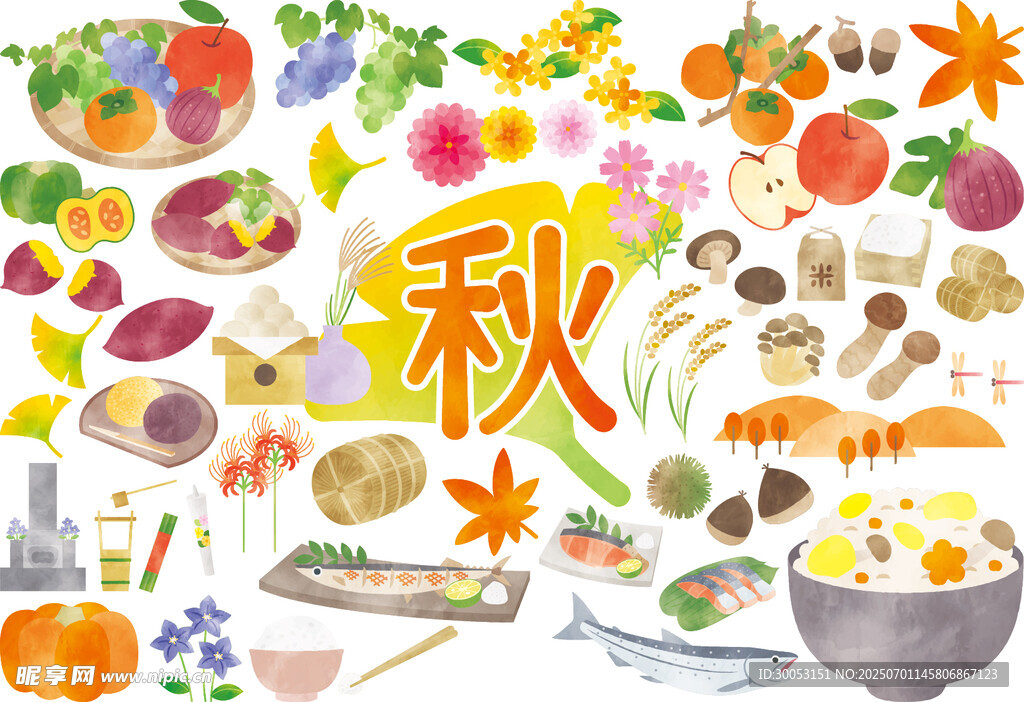 秋日缤纷美食插画
