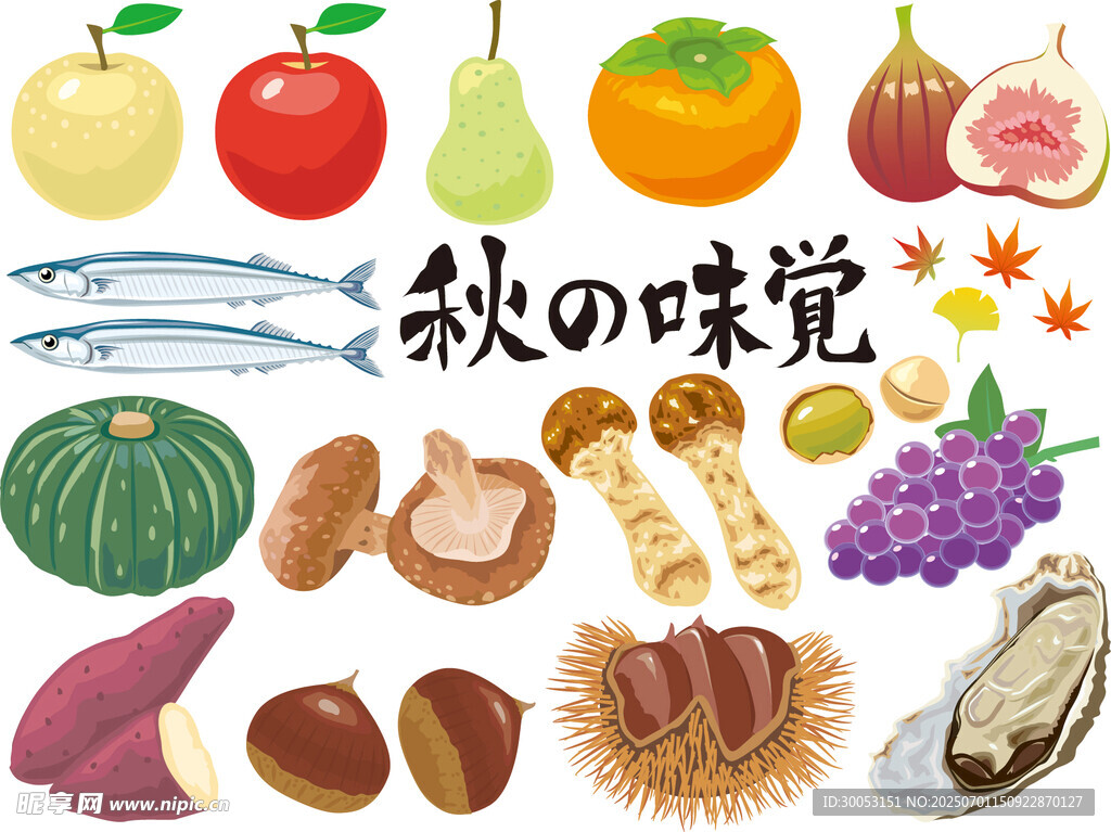 秋日缤纷食材大赏