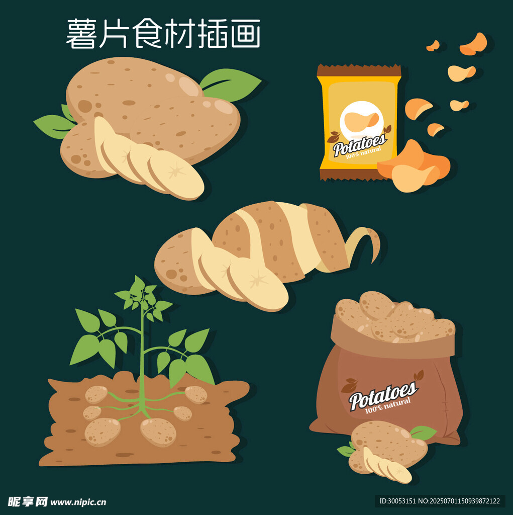 薯片食材插画展示