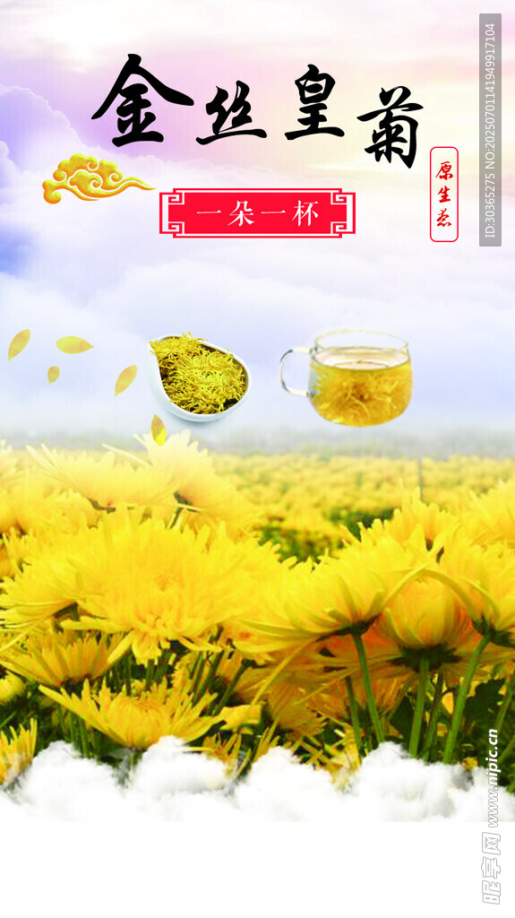 皇菊
