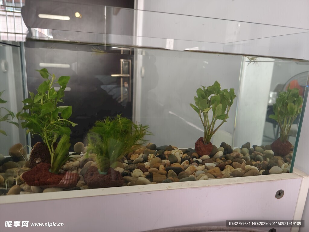 精致水族箱景观