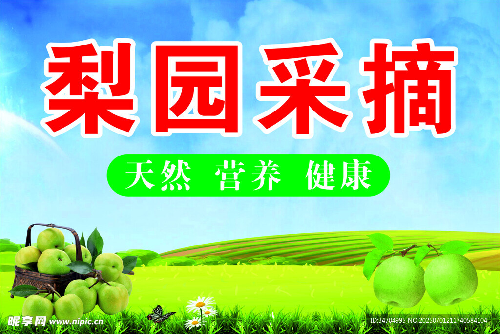 梨园采摘