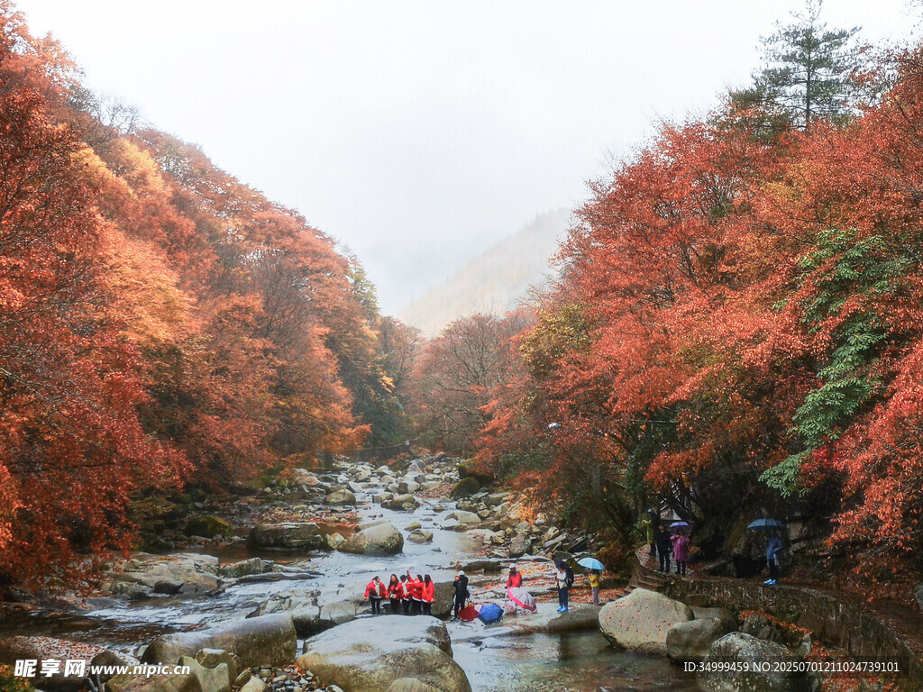雨雾光雾山