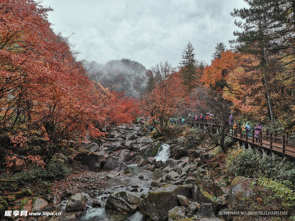 雨雾光雾山
