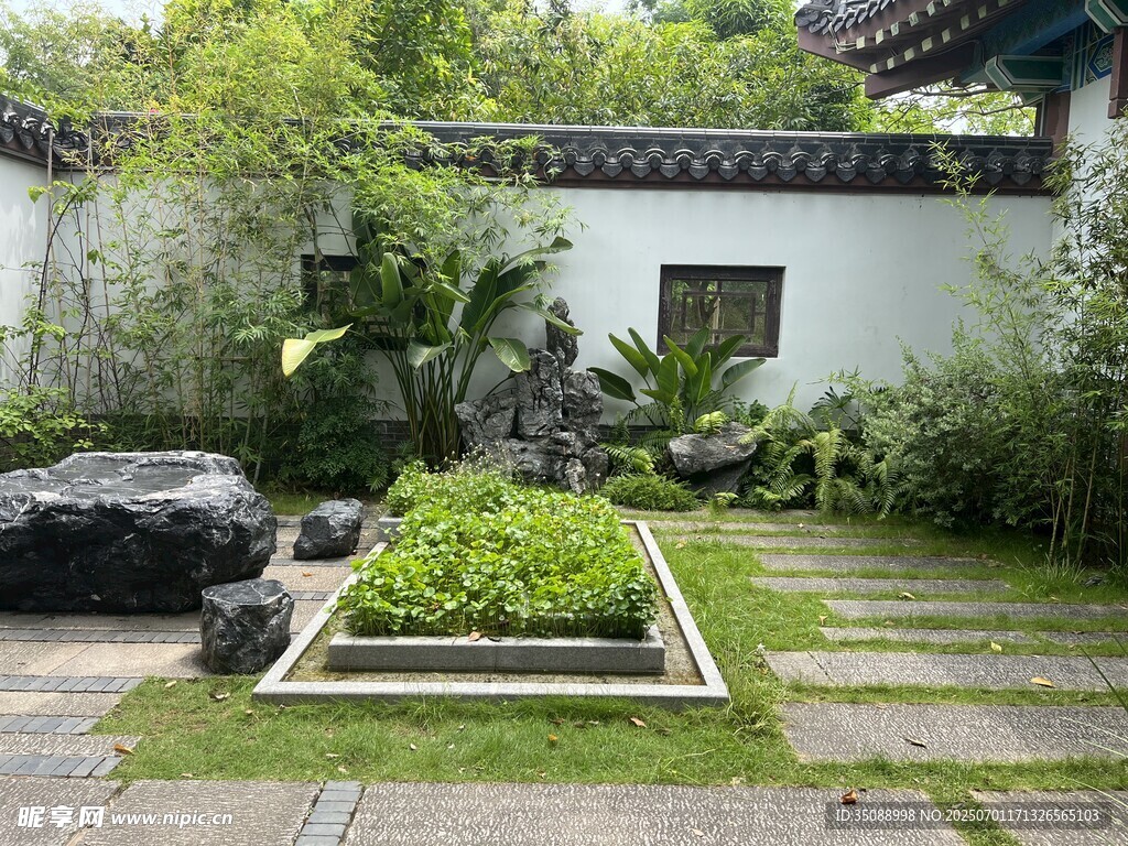中式庭院绿植景观一角