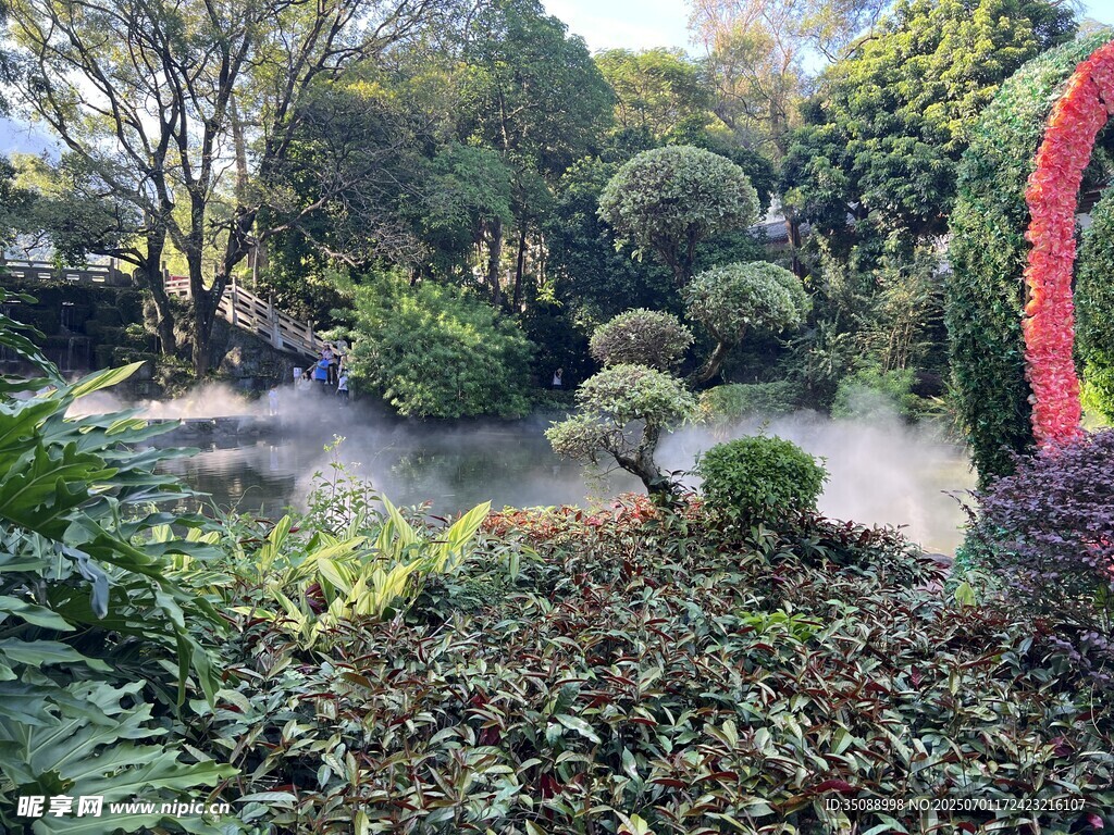 园林景观中的绿植与溪流