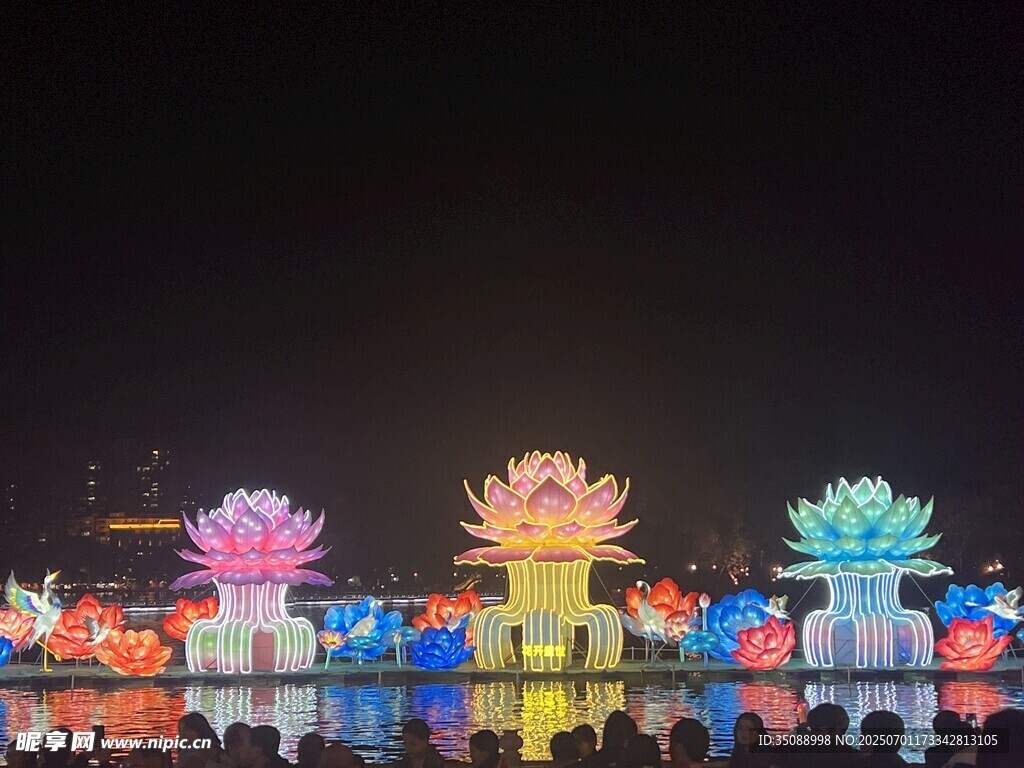 绚丽多彩的夜间花卉造型灯