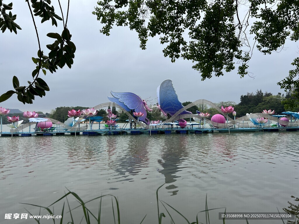 湖边水面