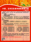 小麦玉米联合收获机使用窍门
