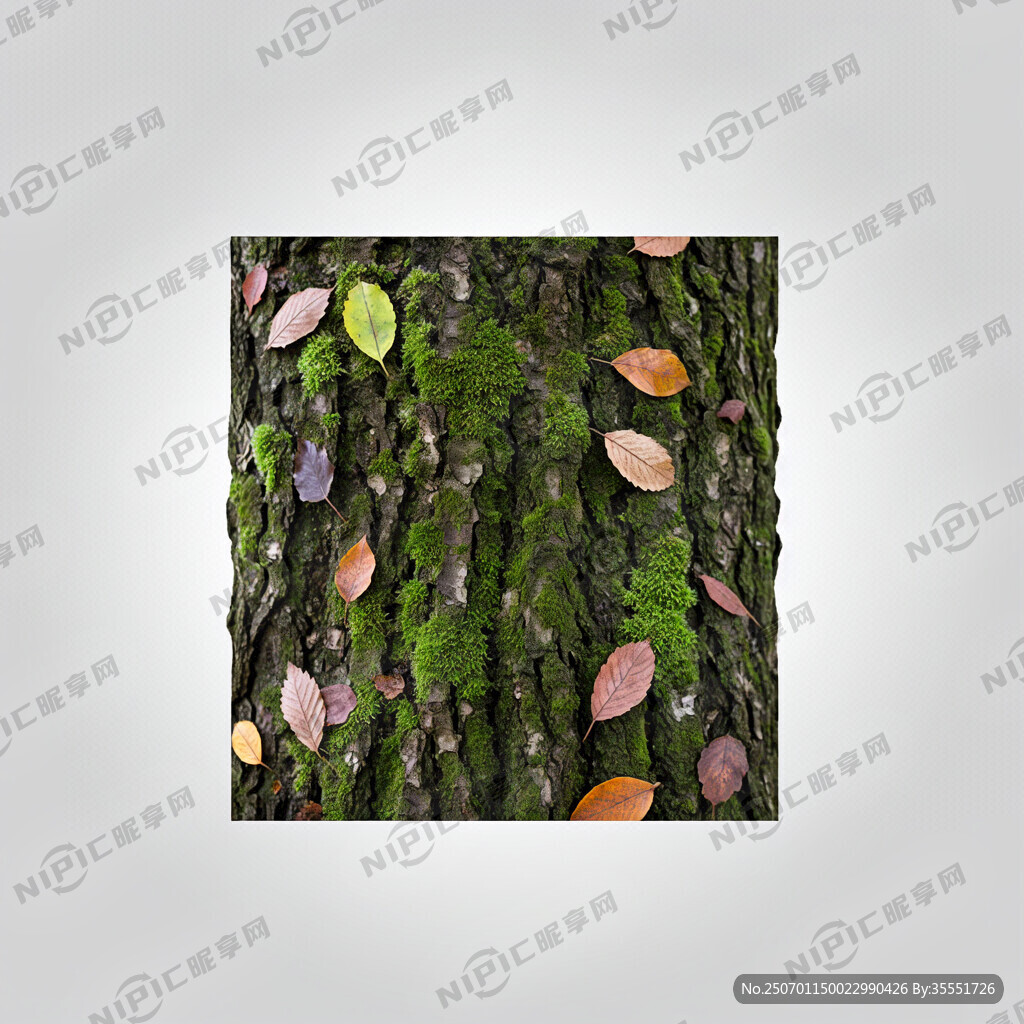 树皮苔藓落叶四方连续