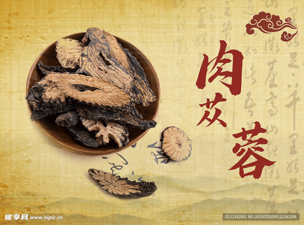 肉苁蓉中药材特写