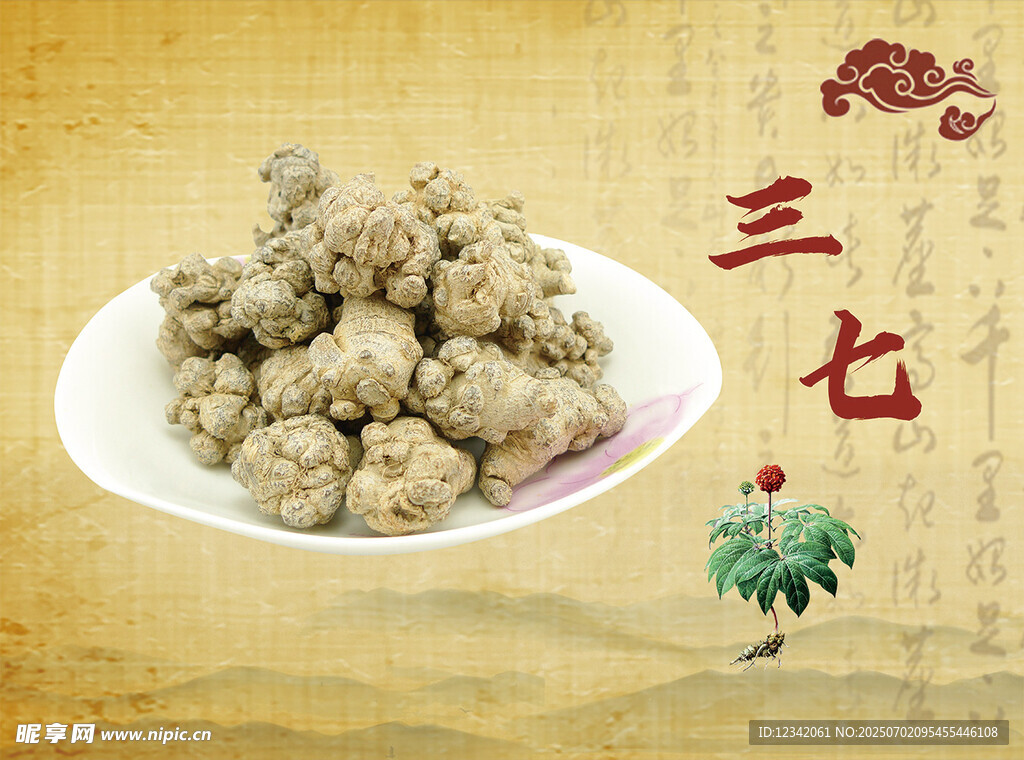 传统中药材三七特写