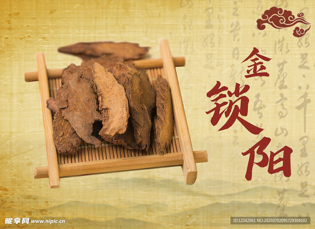 金锁阳中药材展示