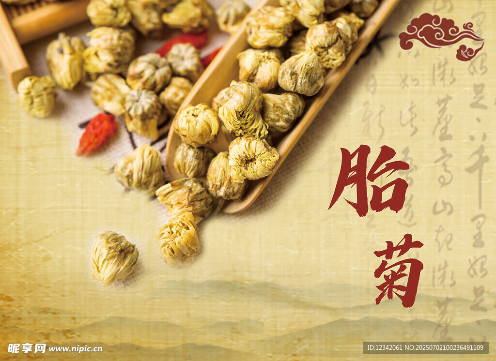 胎菊特写 传统中药材展示