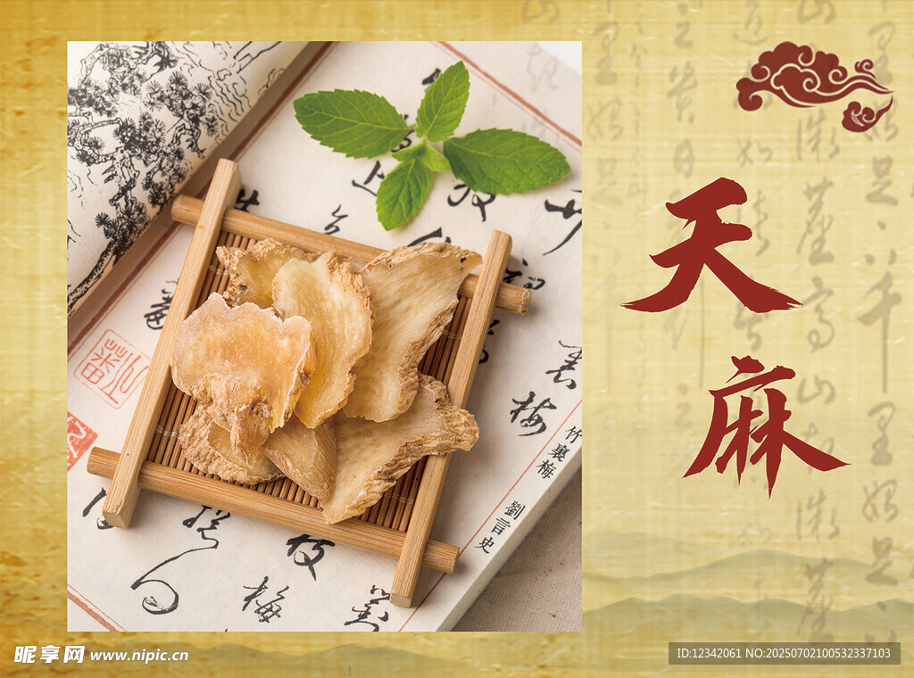 传统中药材天麻展示