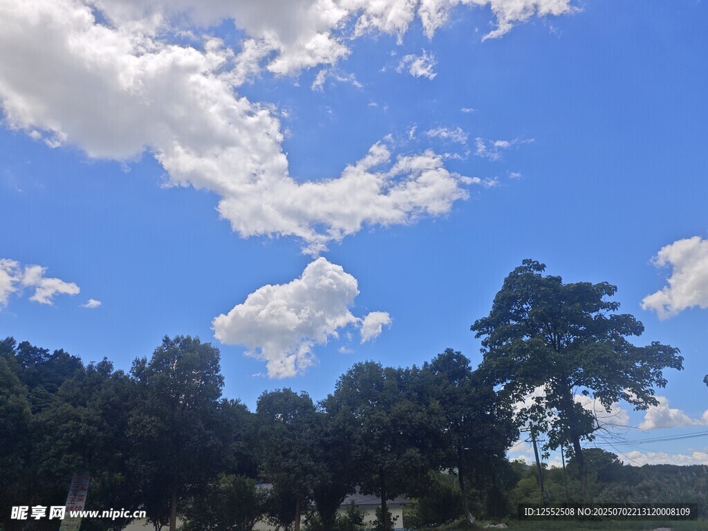 蓝天白云下的绿树风景