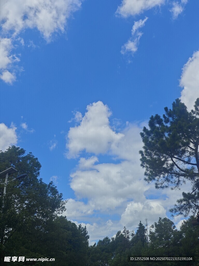蓝天绿树间的清新景致