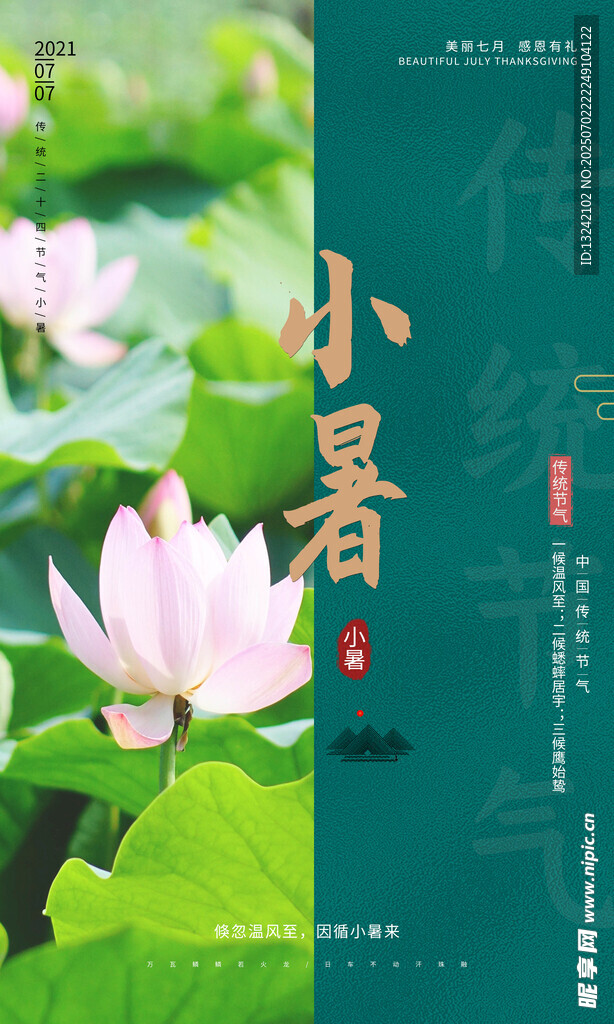  小暑海报
