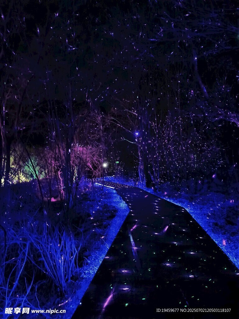 云台山梦幻夜景