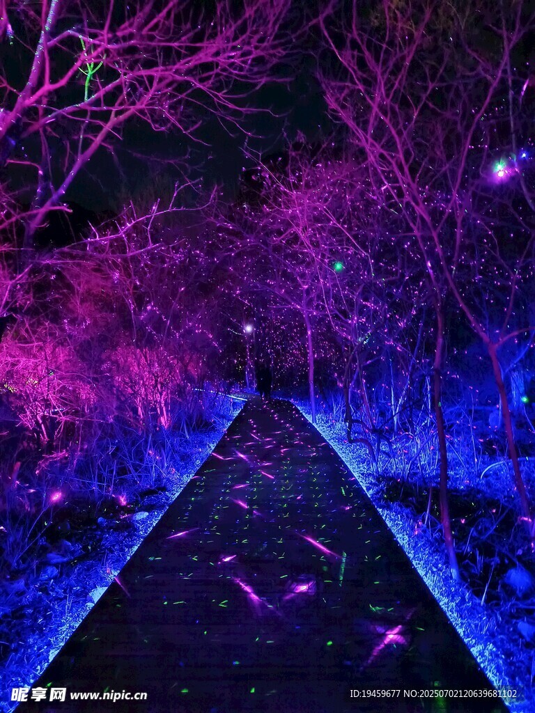 梦幻夜景灯光小道