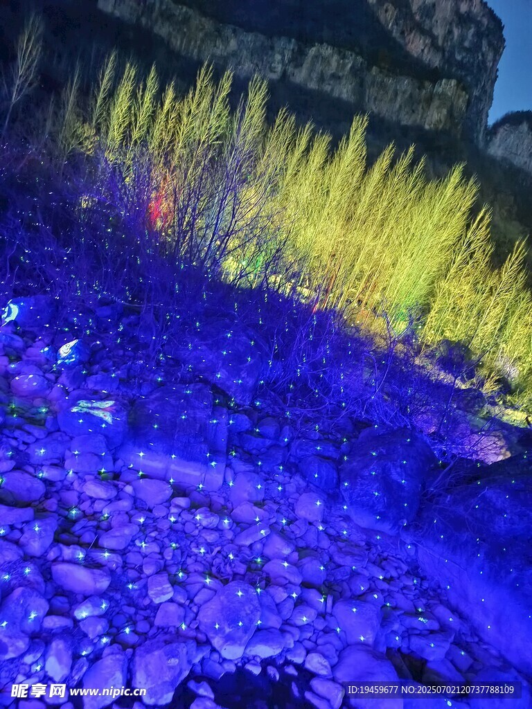 梦幻海底发光植物景观