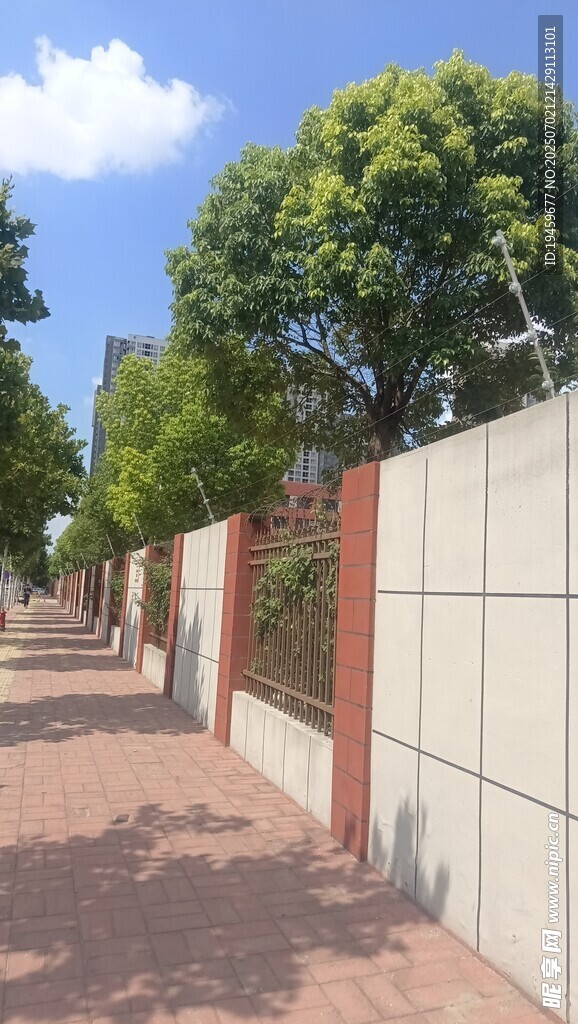 街道旁的绿植与围墙景观