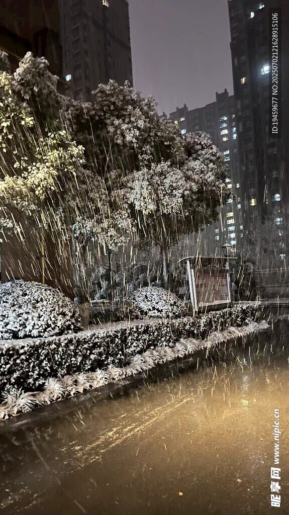 雪夜城市街道静谧景象