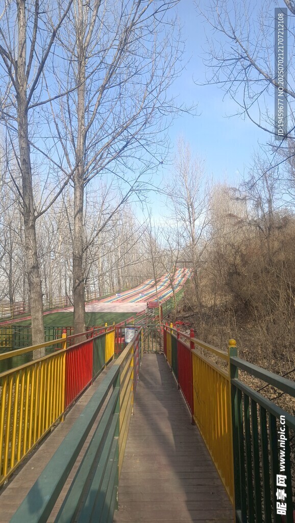 彩色步道旁的冬日风景