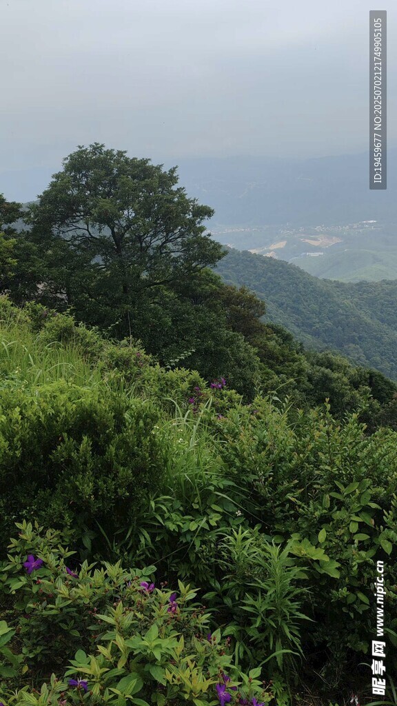 山间绿野风光