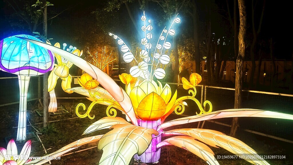 绚丽多彩的夜间花卉彩灯