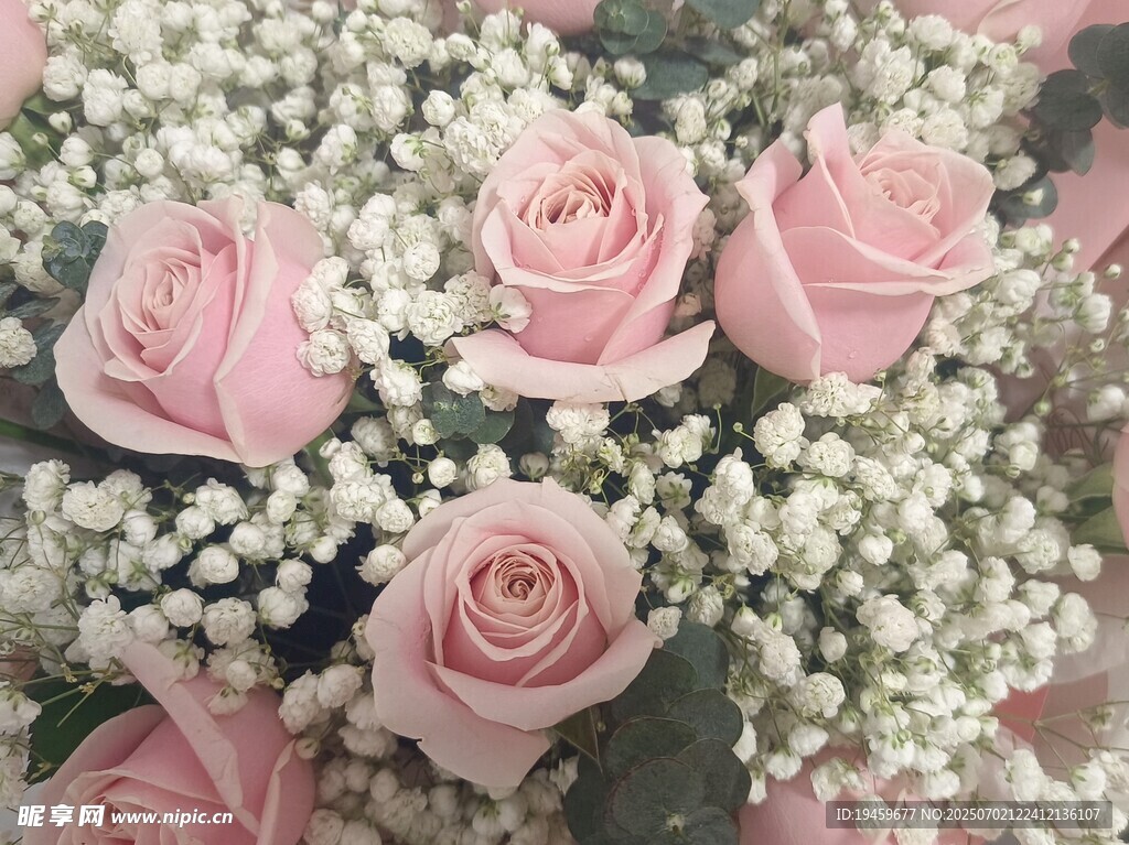 粉色玫瑰与满天星花束