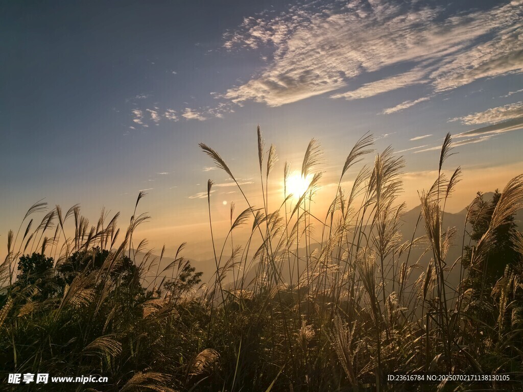 大南山