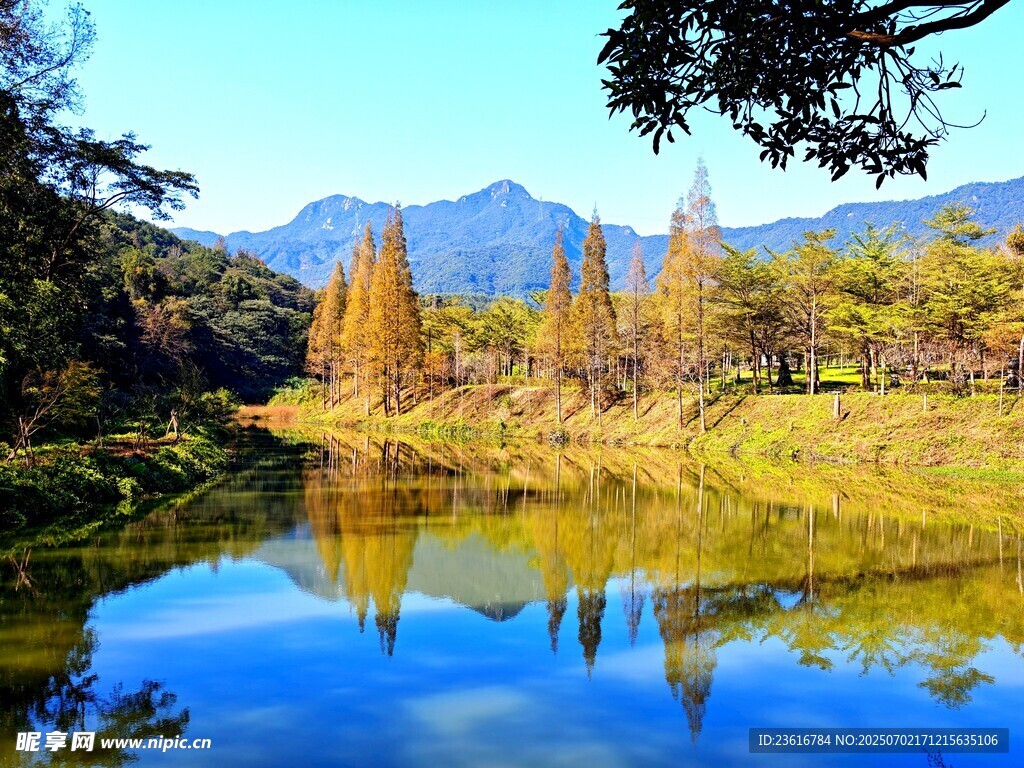 枫叶河岸