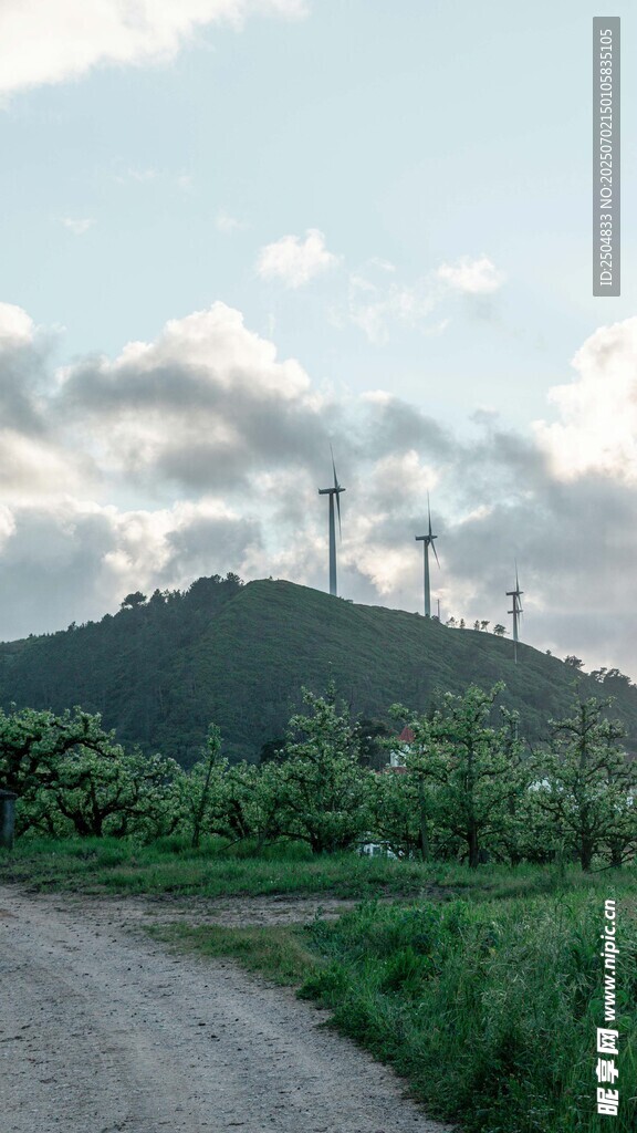 山间小路旁的通信基站