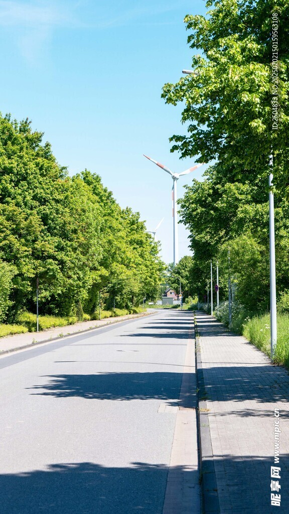 林荫大道 夏日清新景致